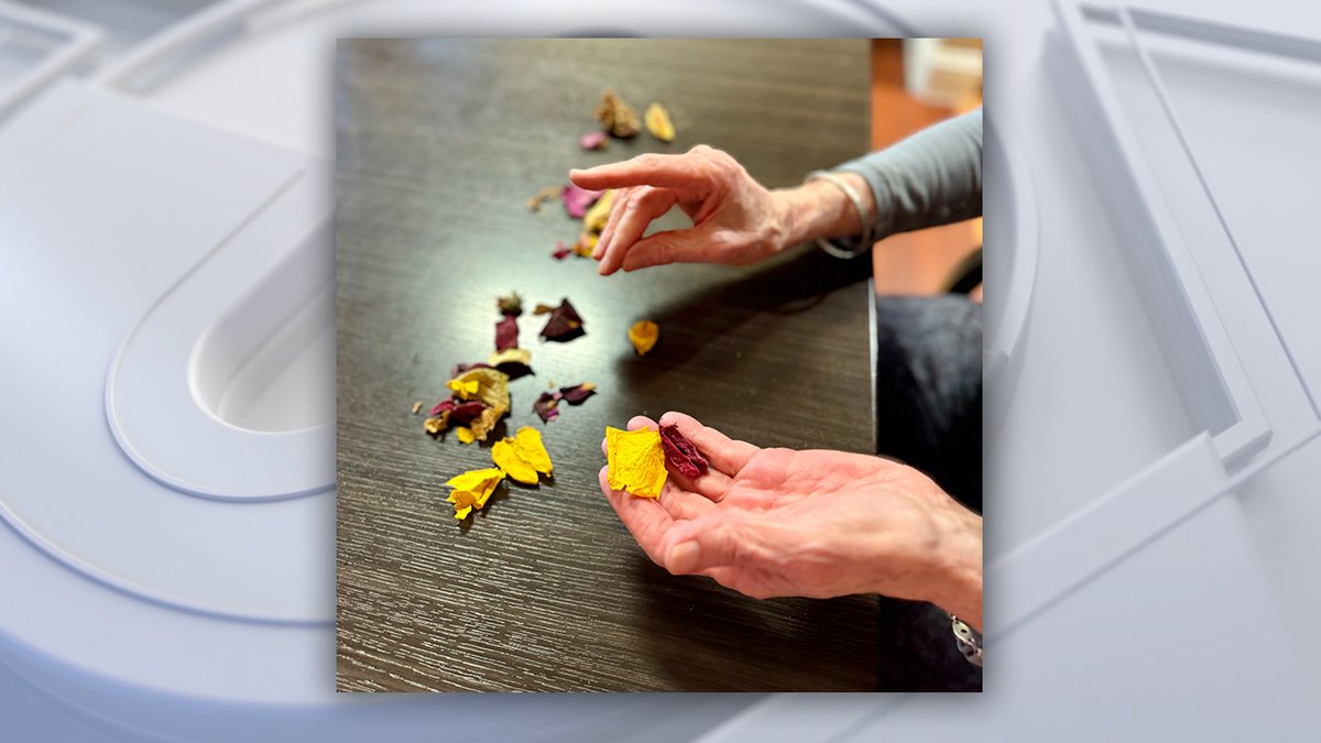 ClariceFox4's tweet photo. HERE'S TO YOU: Dallas County Master Gardeners give  6,000 volunteer hours each year @JFCommunities They held a potpourri party w/flowers, herbs &amp; spices grown on campus. Residents made 2 sachets &amp; had fun mixing colors textures &amp; aromas Show me volunteers Clarice.Tinsley@FOX.com https://t.co/TmAvCnjEXr