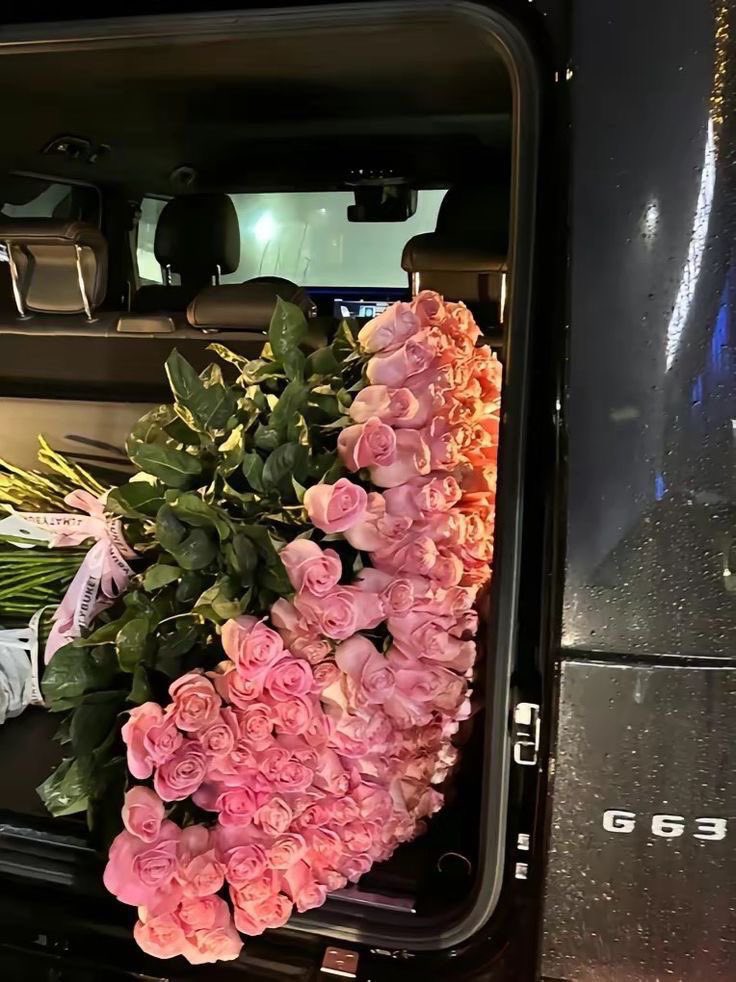 Pink roses
