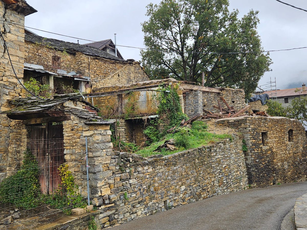 Nacho Pardinilla 🌏 tweet media