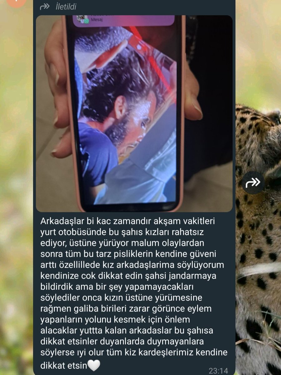 Yer Yalova/Merkez 
Kampüs minibüsüne sürekli binmeye başladı yayar mısınız?