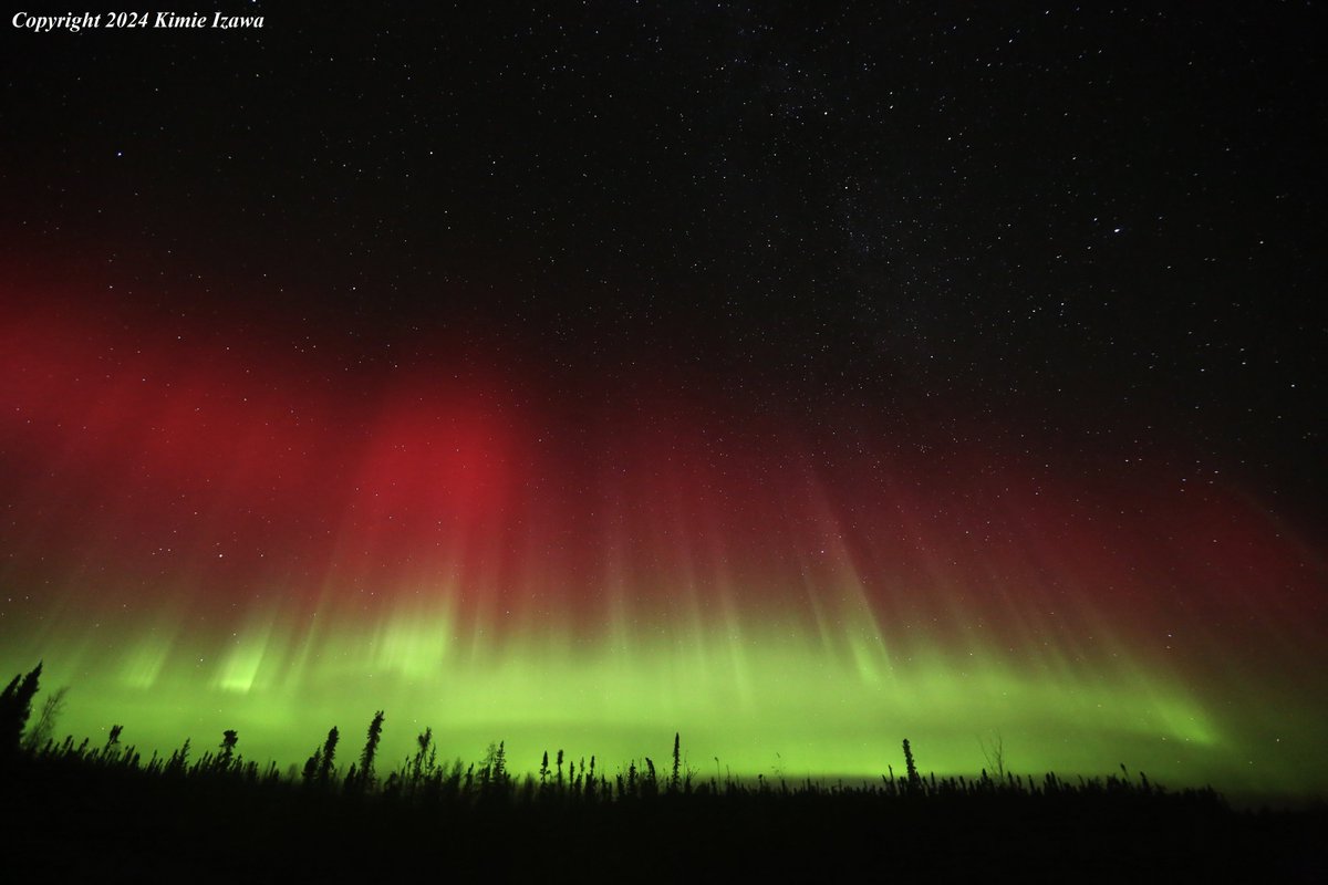 audrey19740719's tweet photo. #Aurora from #Ingrahamtrail #Yellowknife 
Oct 6-7,2024 Sun-Mon 10:45pm-2:00am +0℃ Clear
まっ赤！完全にスイカと一致！
#NWT #ExploreNWT #SpectacularNWT #northwestterritory #northernlight #AuroraBorealis 
#イエローナイフ #ノースウェストテリトリー 
#オーロラ #オーロラ姫 #秋オーロラ https://t.co/PJOFTJtJYV