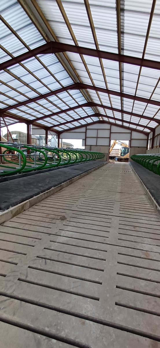 60 Cowcoon Flex 💪 install in Co.Tyrone #cowschoose