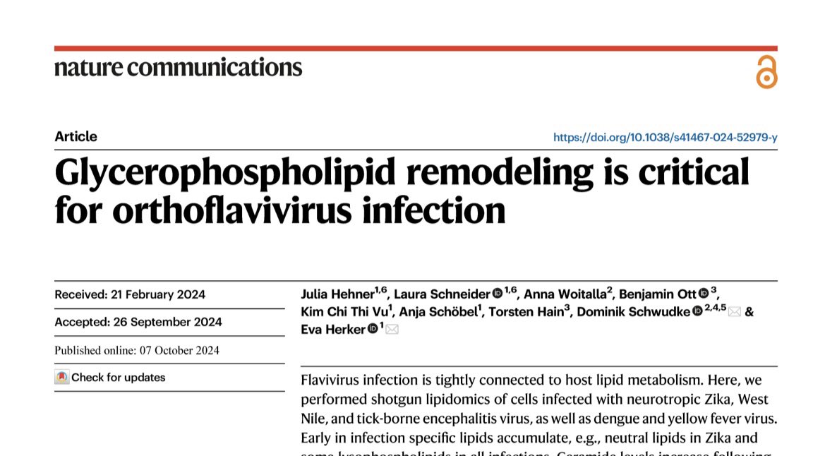 Julia Hehner (@julia_hehner) on Twitter photo I am thrilled to announce that our latest research paper "Glycerophospholipid remodeling is critial for orthoflavivirus infection" has just been published in <a href="/NatureComms/">Nature Communications</a> Special thanks to my fantastic Co-author Laura Schneider and my PI Eva Herker!
nature.com/articles/s4146… I am thrilled to announce that our latest research paper "Glycerophospholipid remodeling is critial for orthoflavivirus infection" has just been published in <a href="/NatureComms/">Nature Communications</a> Special thanks to my fantastic Co-author Laura Schneider and my PI Eva Herker!
nature.com/articles/s4146…