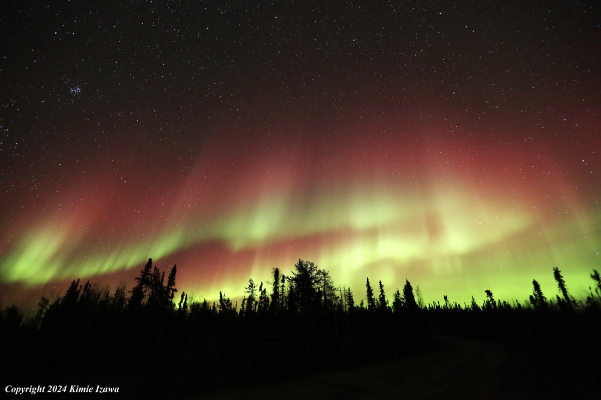 audrey19740719's tweet photo. #Aurora from #Ingrahamtrail #Yellowknife
October 6-7,2024 Sun-Mon 10:45pm-2:00am +0℃ Clear

#NWT #ExploreNWT #SpectacularNWT #northwestterritory #northernlight #AuroraBorealis
#イエローナイフ #ノースウェストテリトリー
#オーロラ #オーロラ姫 #秋オーロラ https://t.co/MndHejao1e