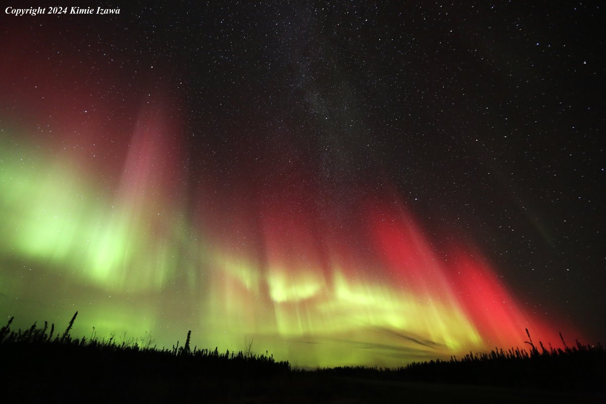 audrey19740719's tweet photo. #Aurora from #Ingrahamtrail #Yellowknife
Oct 6-7,2024 Sun-Mon 10:45pm-2:00am +0℃ Clear
赤が肉眼で見えるくらい強かった！
#NWT #ExploreNWT #SpectacularNWT #northwestterritory #northernlight #AuroraBorealis
#イエローナイフ #ノースウェストテリトリー
#オーロラ #オーロラ姫 #秋オーロラ https://t.co/nqgNnDOtmM