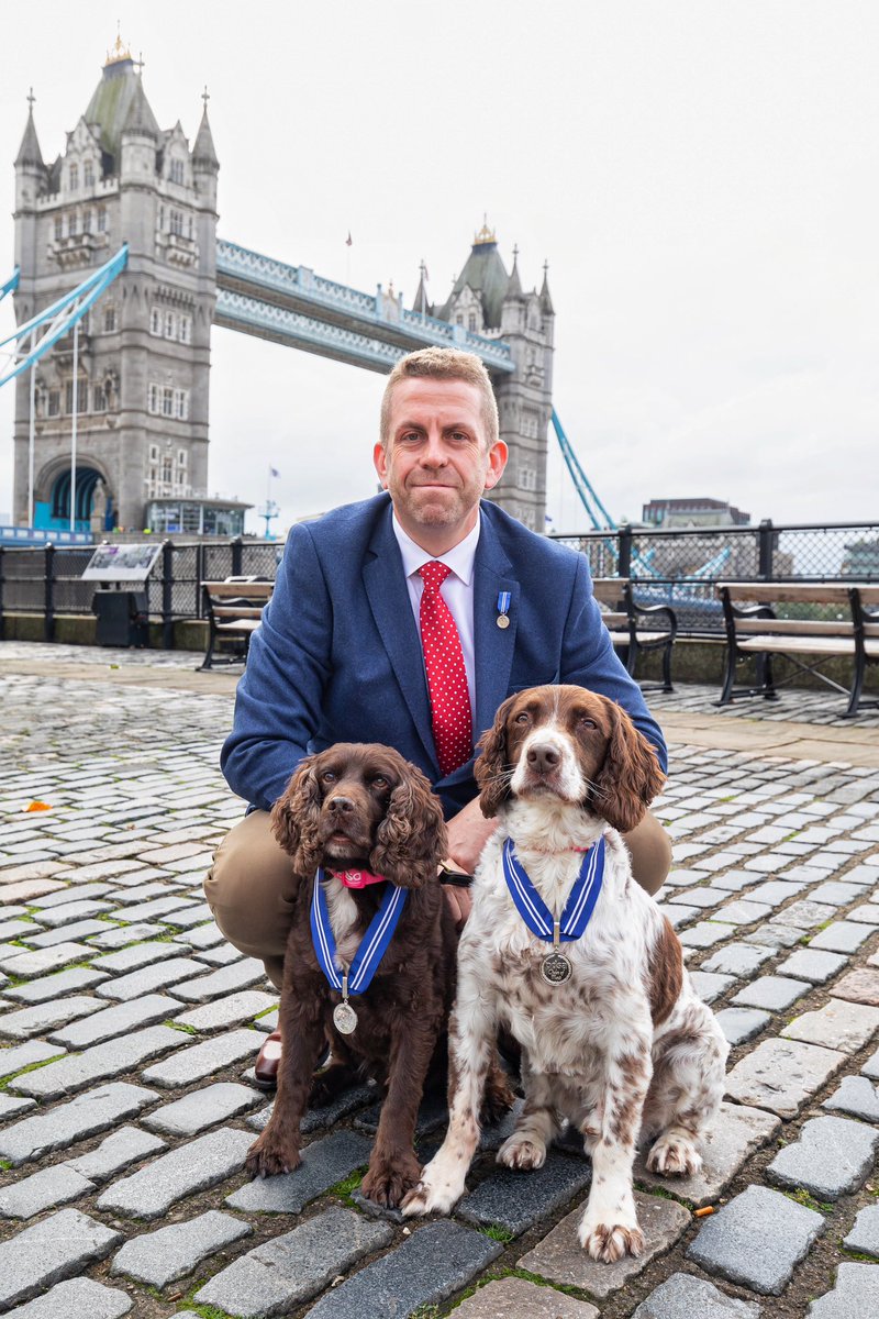 BWYK9's tweet image. HRH The Duchess of Edinburgh presented Scamp and Yoyo with medals last week. 

Scamp and Yoyo are only the 53rd and 54th animals to be awarded the @PDSA_HQ Order of Merit and they are the only Tobacco Detection Dogs.

#illegaltobacco