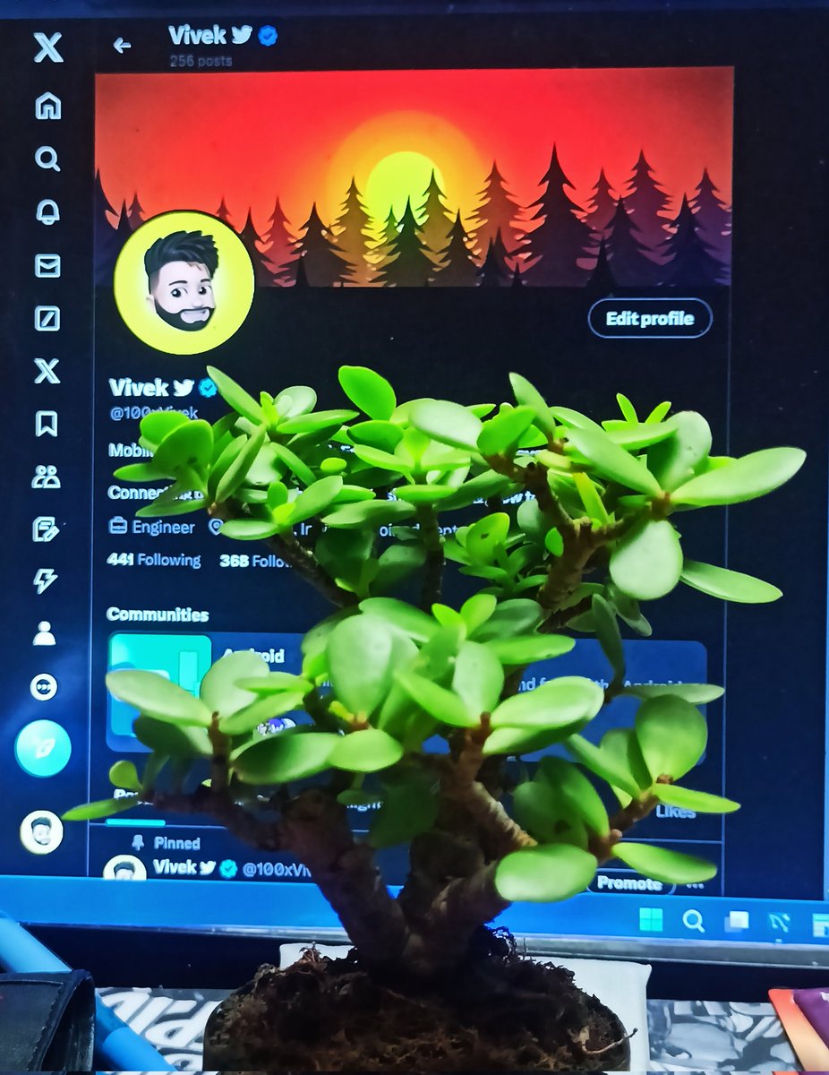 How's it?
