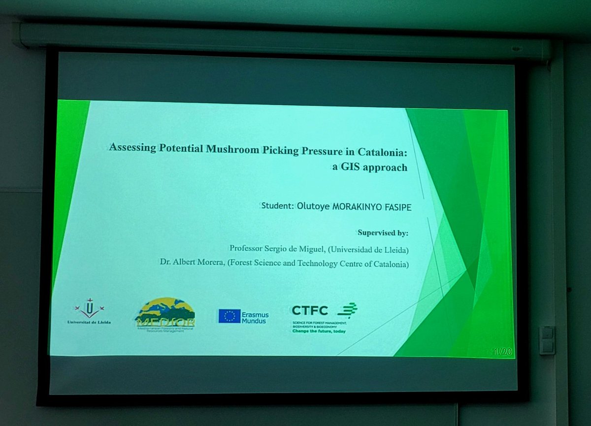 _AlbertMorera's tweet photo. Congratulations to Olutoye Fasipe for his very interesting #MEDfOR master thesis defence entitled "Assessing potential mushroom picking pressure in Catalonia: a GIS approach" 🍄🌲at @ETSEAFIV_UdL @ctforestal https://t.co/REVgt709he