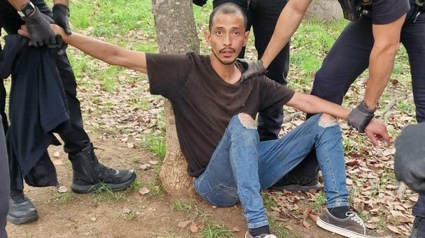 GreatLakesLady tweet media