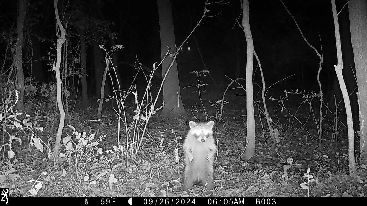 Always fun to see what our @pittsburgks cameras capture for #SnapshotUSA! 😆