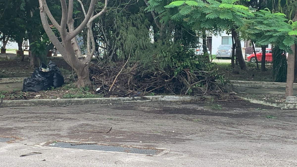 Comité Américas Mid tweet media