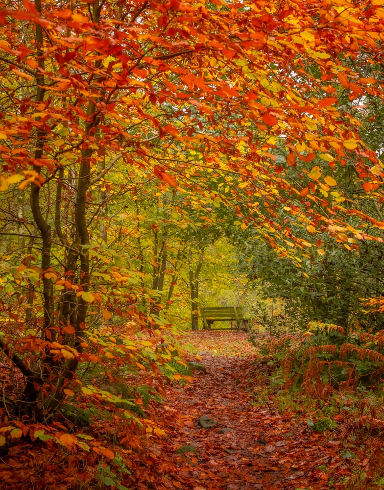 Autumn is certainly here.
#BenchFans #BenchLove