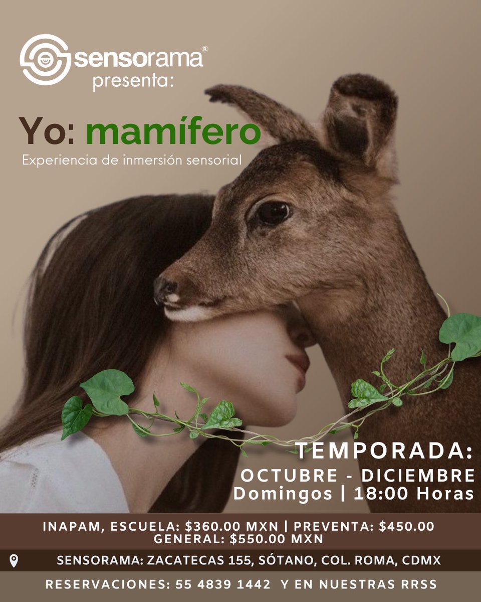 RECONÓCETE EN TU ANIMALIDAD 
✨👱🏼‍♀🦌✨
.
Experiencia sensorial:
Yo: mamífero 
. 
- SINOPSIS - 
cutt.ly/ReRwuHmL 
.
- MÁS INFORMACIÓN -
wa.link/sndkmw 
. 
- DIRECCIÓN -
📍Espacio Sensorama 
.
- MÁS INFORMACIÓN -
sensorama.mx