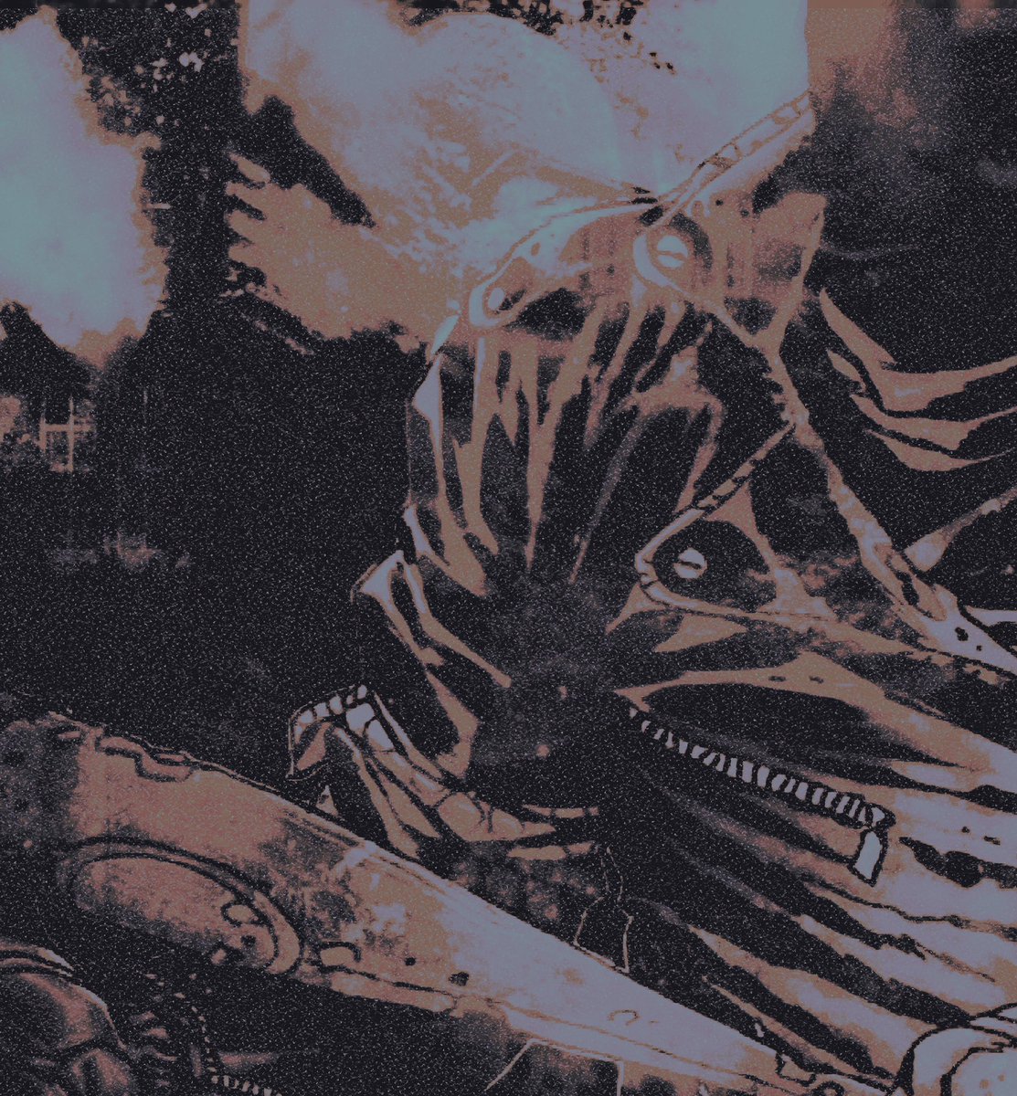 NutsOfSteeI's tweet image. 