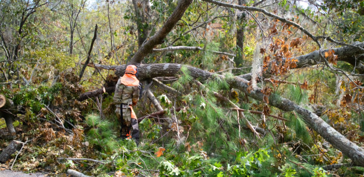 SCSG1670's tweet image. Oct 7 - Restoration and cleanup operations continue for the South Carolina State Guard in the North Augusta area. Photos by SGT Amy Morris, Public Affairs.