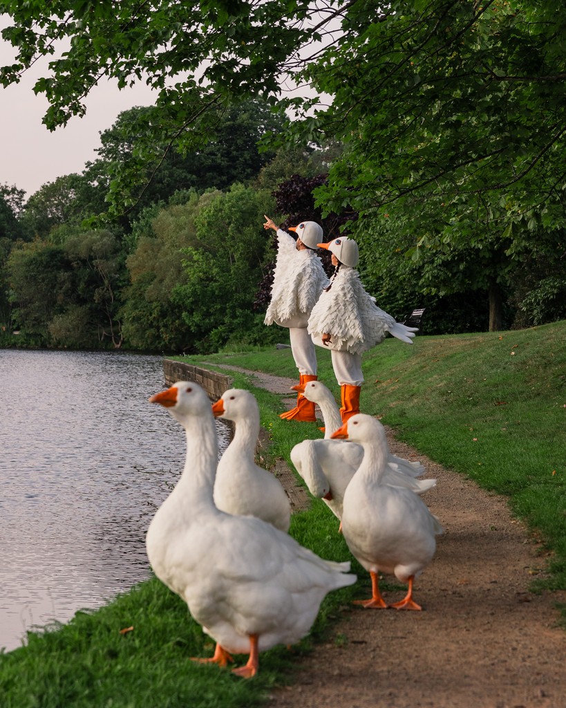 Catch our Dartmouth Geese on October 19th at Nocturne!

The Dartmouth Geese are waddling around for a little bit of sightseeing on their Nocturne staycation.

🦢 Dartmouth Geese at Nocturne
📅 October 19, 2024
🎟️ easternfronttheatre.com/dartmouth-geese