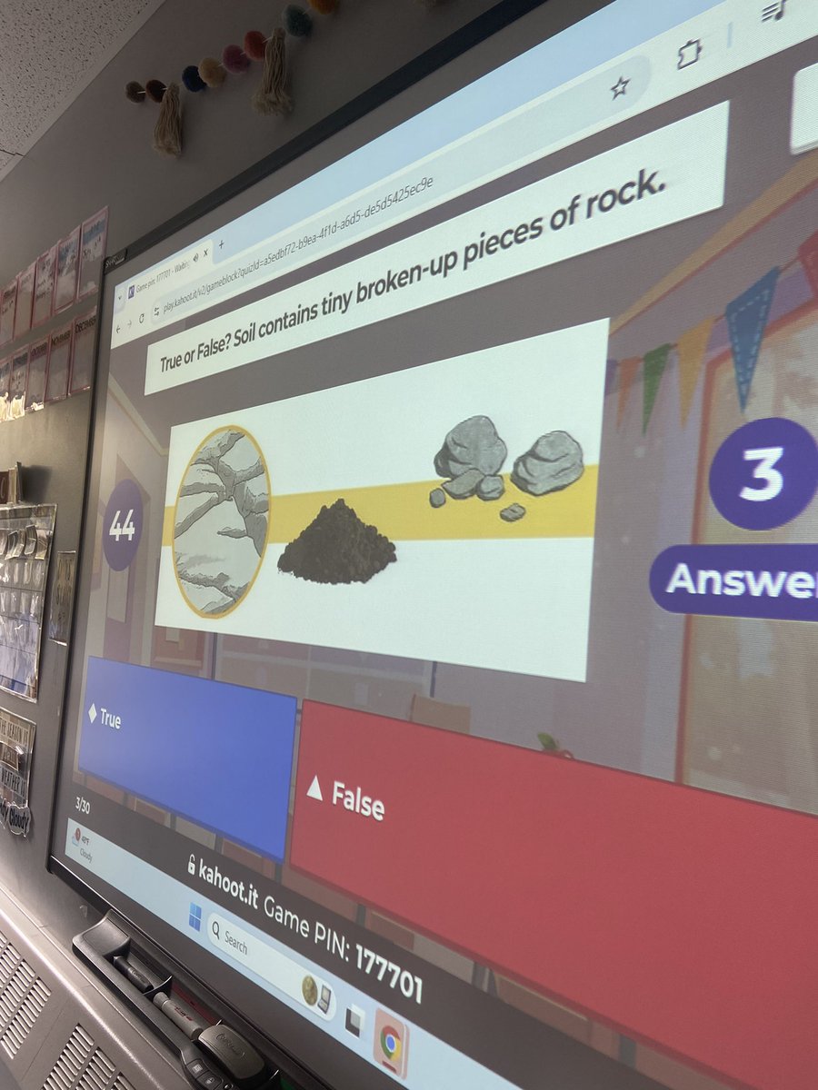 Sophia Hewitt tweet media