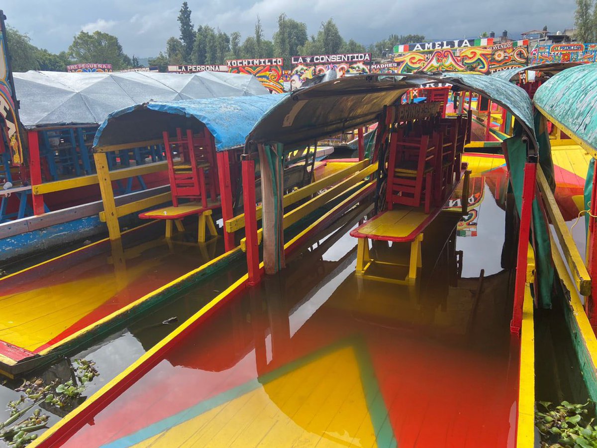 🌧💧 Zonas aledañas al embarcadero de Caltongo en #Xochimilco quedaron inundadas la noche del domingo tras las fuertes lluvias.

Trajineras bajo el agua y daños en viviendas y cultivos de cempasúchil fueron parte de las afectaciones.

📸 DDConfianza