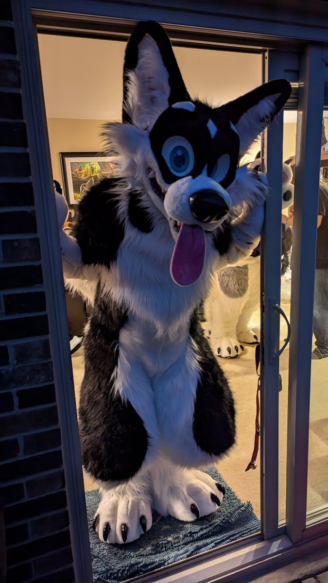 Can this doggy come outside and play?

#MoreFurLessMonday 
📸 by <a href="/BlueAuraWolf/">Simply Aura Juice</a>
