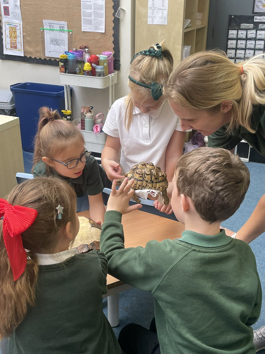 MrsPhamYear1 (@phamyear1) on Twitter photo We loved our Classification Workshop with <a href="/Noahs_Ark_Zoo/">Noah's Ark Zoo Farm</a> this morning. It was so exciting to get up and close to different types of animals and learn from the experts! <a href="/DaweCaroline/">Mrs Dawe</a> <a href="/mrstayloryr5/">@SallyTaylorCBPSA</a> <a href="/CastleBatch/">Castle Batch School</a> We loved our Classification Workshop with <a href="/Noahs_Ark_Zoo/">Noah's Ark Zoo Farm</a> this morning. It was so exciting to get up and close to different types of animals and learn from the experts! <a href="/DaweCaroline/">Mrs Dawe</a> <a href="/mrstayloryr5/">@SallyTaylorCBPSA</a> <a href="/CastleBatch/">Castle Batch School</a>