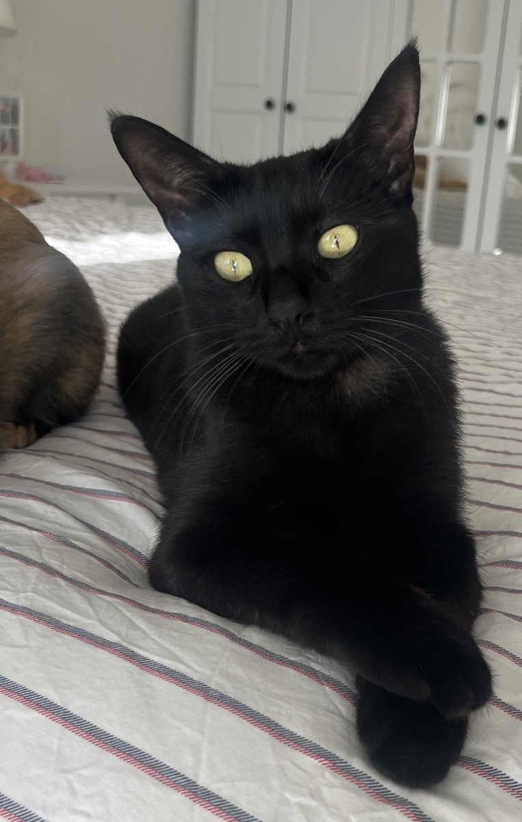 Öyle bir içimden geldi