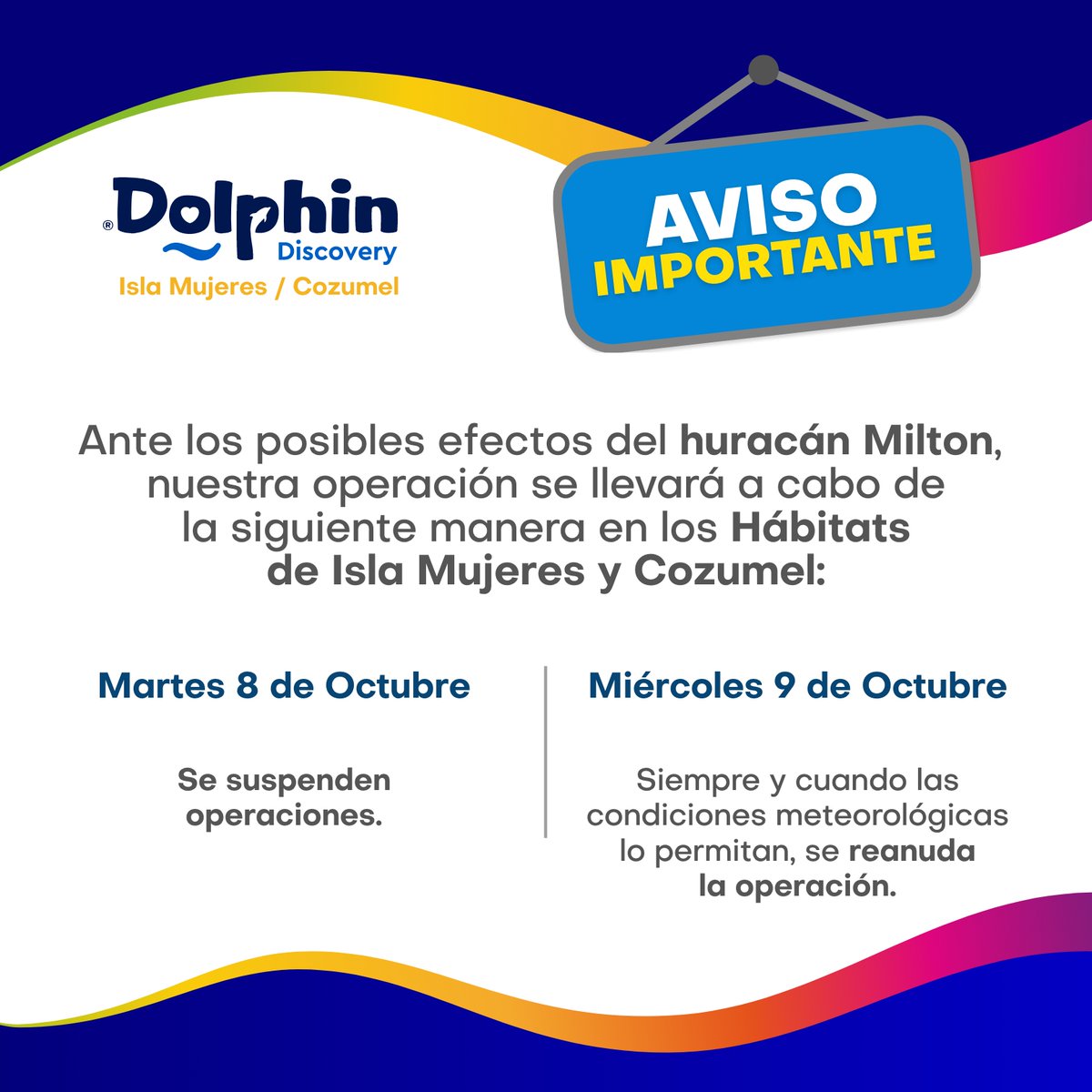 Dolphin Discovery tweet media