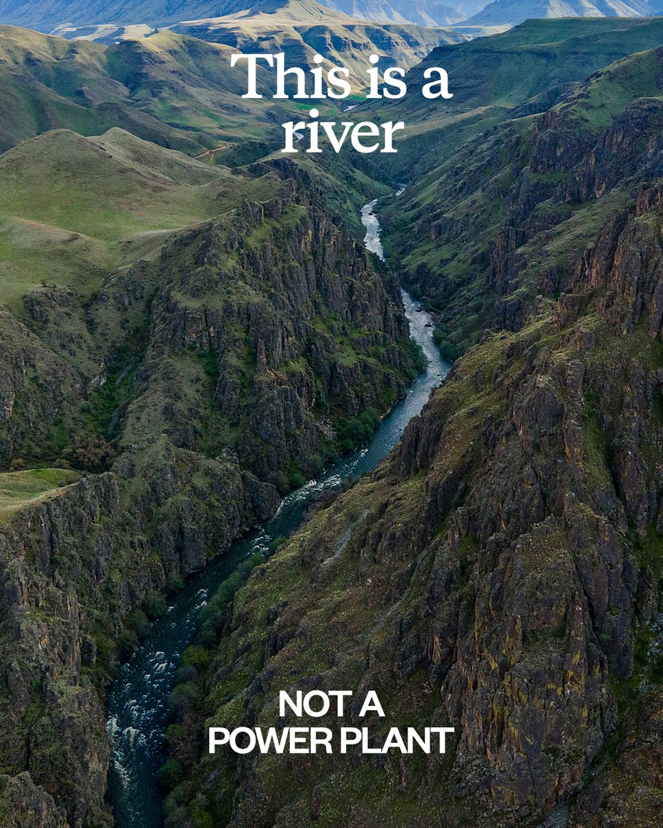 With a  climate-forward Congress, we can continue to build momentum to remove four methane-emitting dams along the Snake River that have destroyed salmon habitats and the livelihoods of local communities for decades.  Photo: Ben Herndon