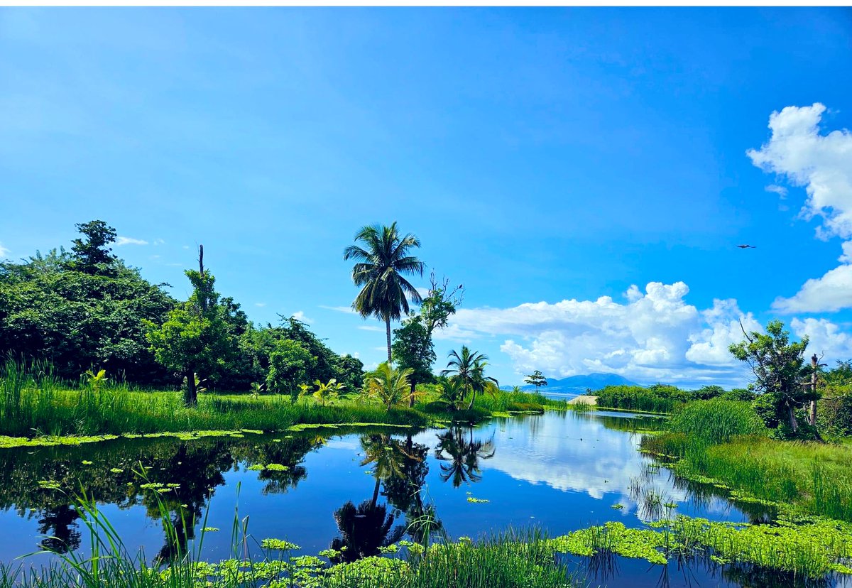 markbrantley3's tweet photo. This is #Nevis https://t.co/oidV41medW