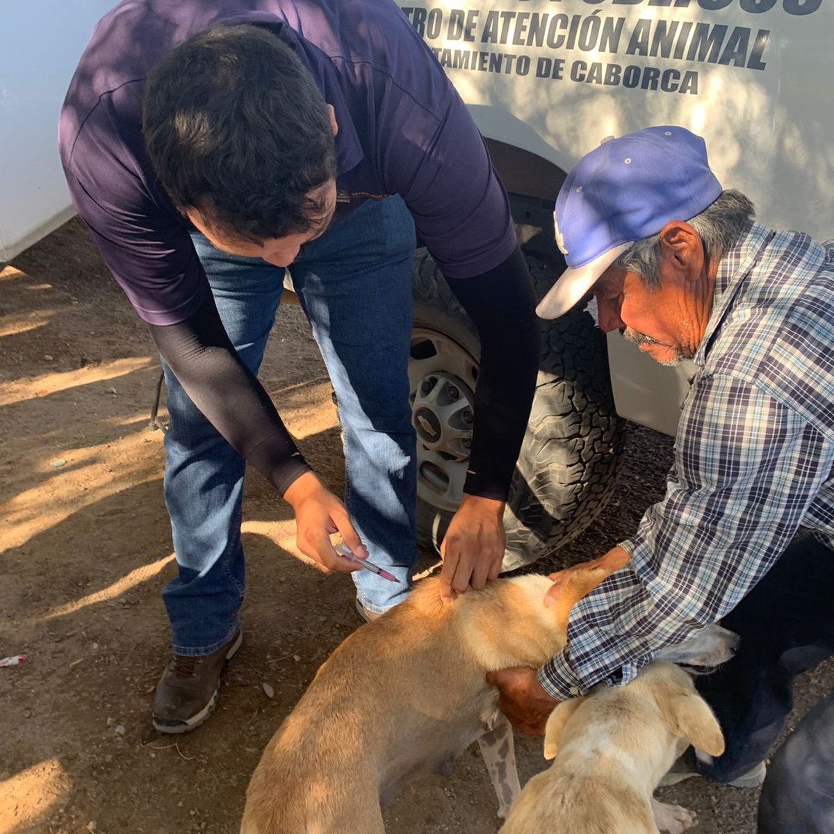 ssaludsonora's tweet photo. 🐶🐈 Personal de zoonosis del #DistritodeSalud02 realiza la aplicación de vacuna antirrábica canina y felina a los animalitos que habitan en las colonias del municipio de Caborca. 

 #SaludSonora https://t.co/MbCdwAiWki
