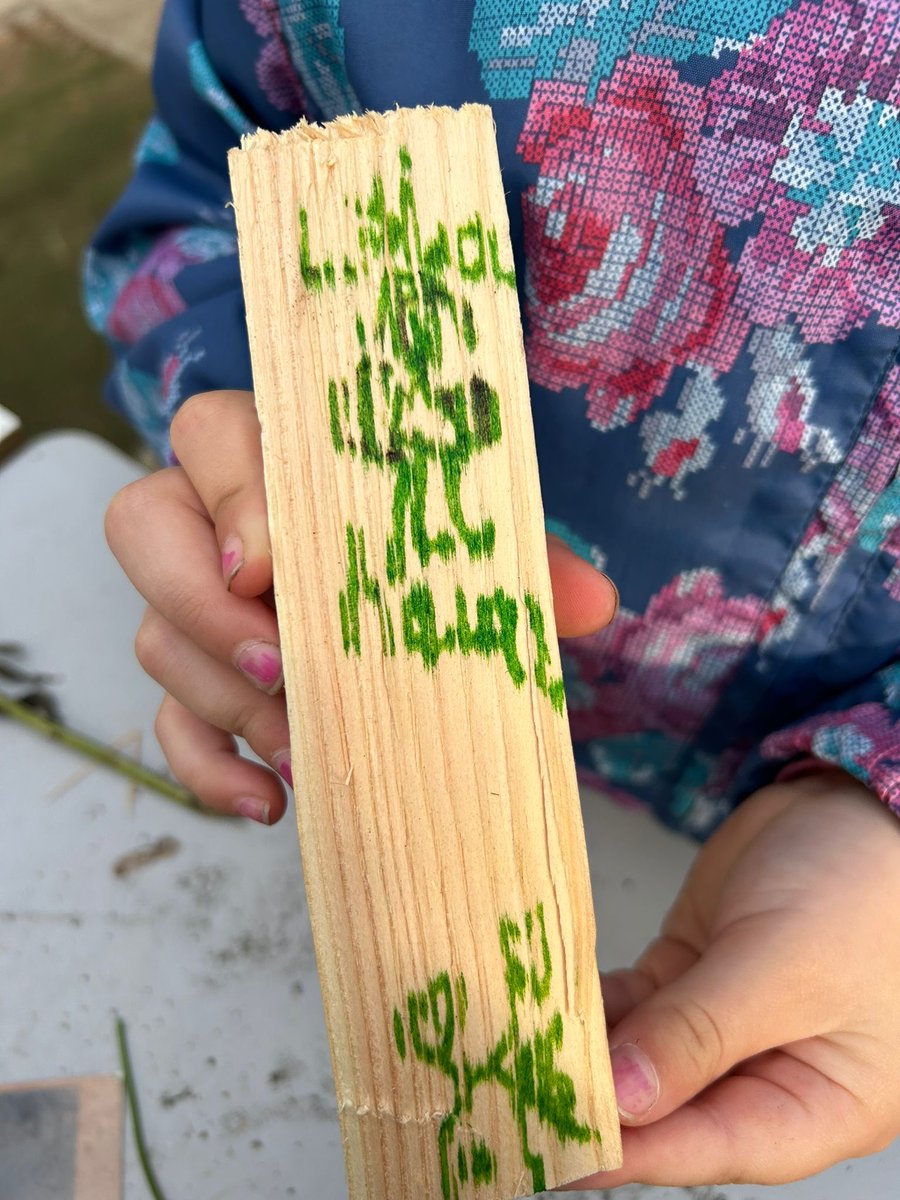 Snape Primary School tweet media