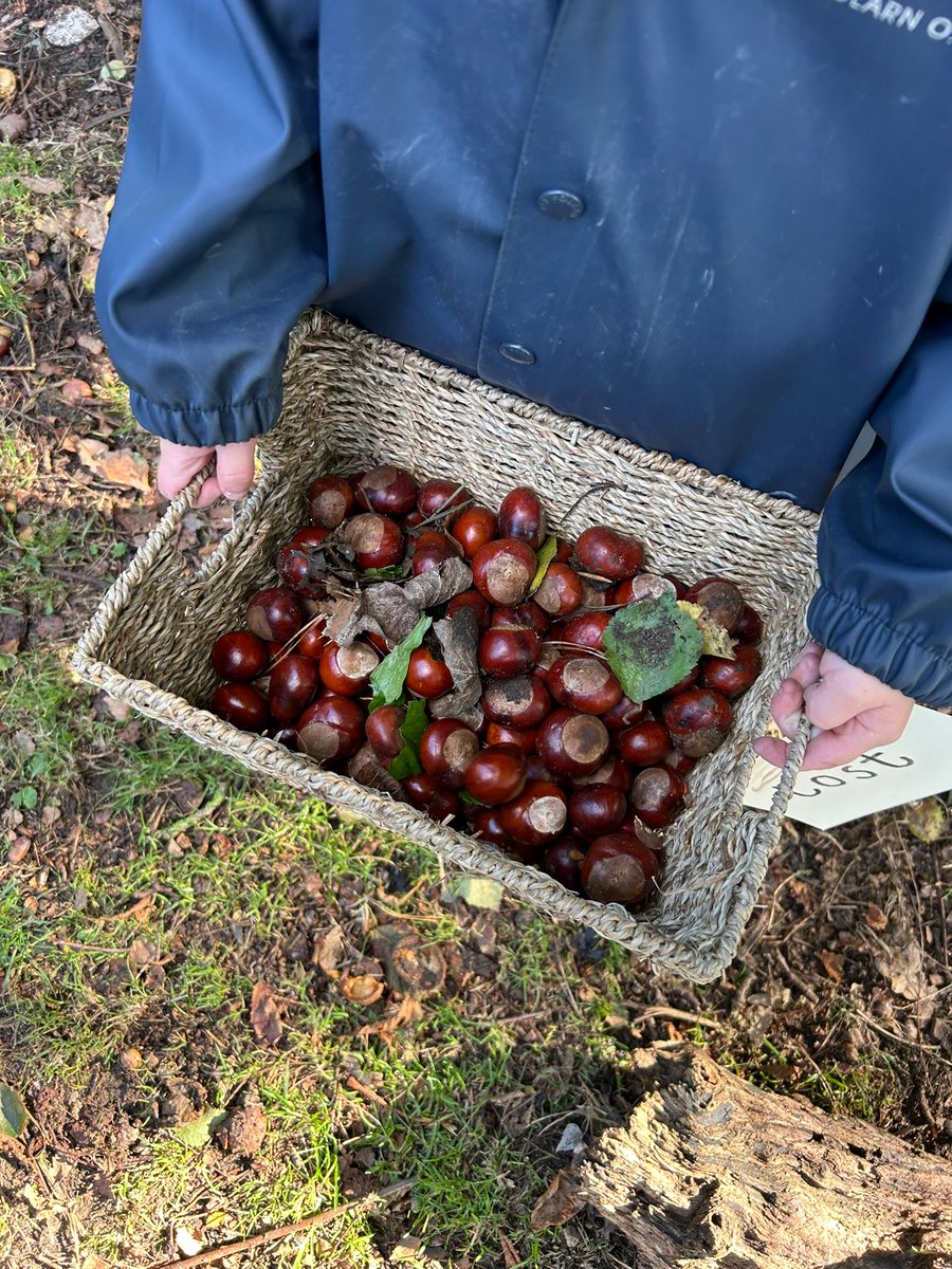 Snape Primary School tweet media