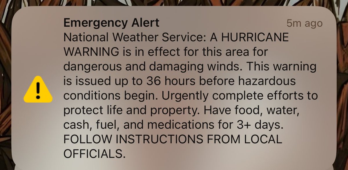 EmilyHarlessTV's tweet photo. Hurricane warnings are now in effect across Central Florida as Milton makes its way toward the peninsula. 

@WESH is your best source for all things hurricane coverage. We will be live 24/7 until the storm has passed. https://t.co/rGB5HUoXiC