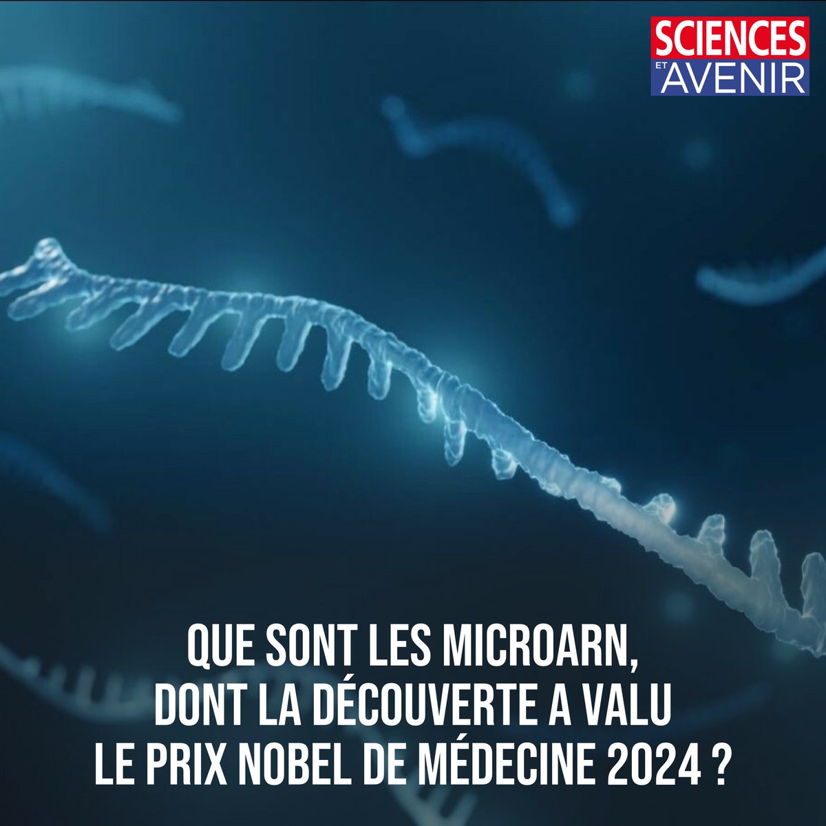 Le Nobel de médecine 2024 récompense  Victor Ambros et Gary Ruvkun pour la découverte et la compréhension des microARN. 
On vous explique tout sur ce mécanisme cellulaire et génétique essentiel au vivant, et sur sa découverte 👉 l.sciencesetavenir.fr/FPc