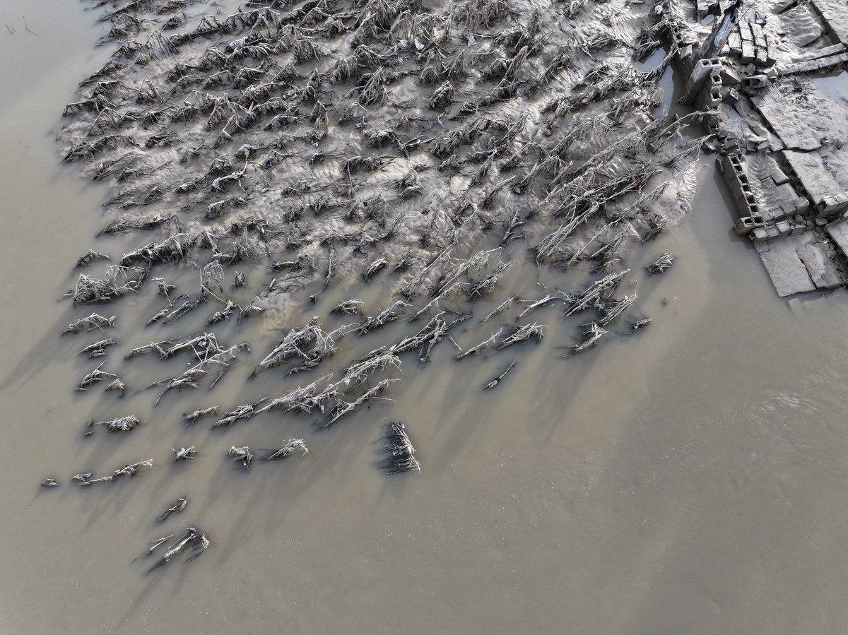 A farmland in Fori.

The #MaiduguriFlood has left devastating effects on farmland leading to loss of crops and long term impacts on soil healths.