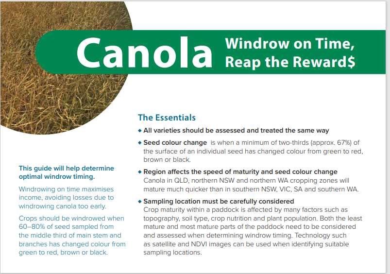 Great GRDC publication to help with decision making:
"Canola – Windrow on time, reap the rewards"

grdc.com.au/__data/assets/…