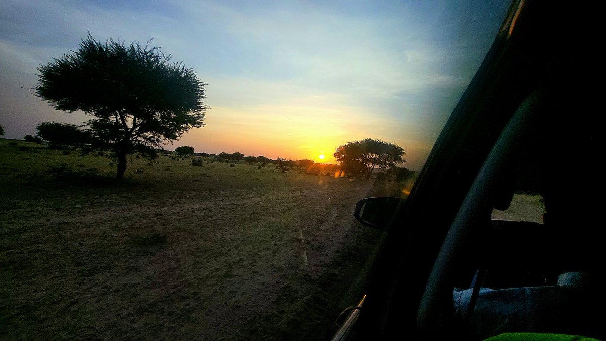 Hysoume's tweet photo. L'aventure continue.

Bonsoir chers frères et frères du réseau X.

Le Tchad profond.
🇹🇩🇹🇩🇹🇩 https://t.co/mC6P2fMAcM