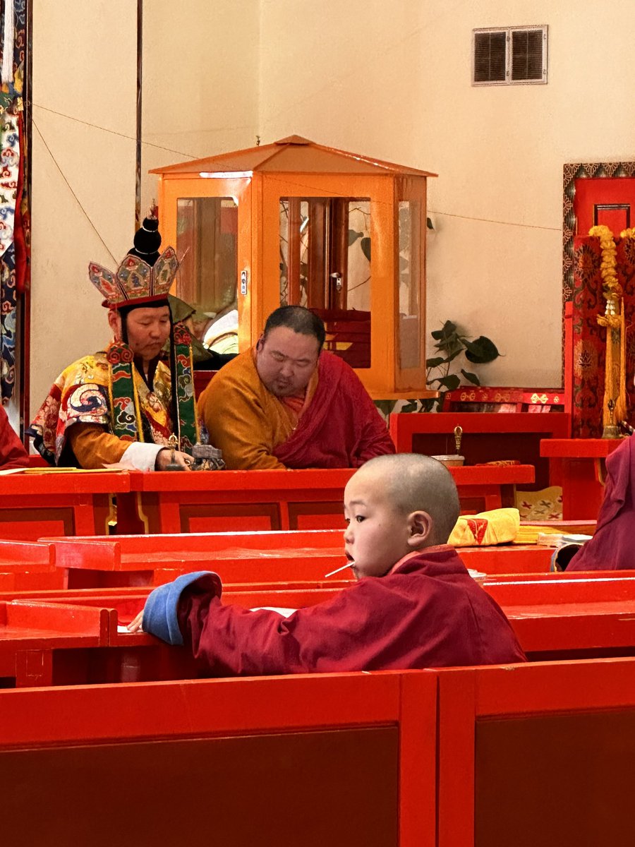 ёстой хөөрхөн хүү