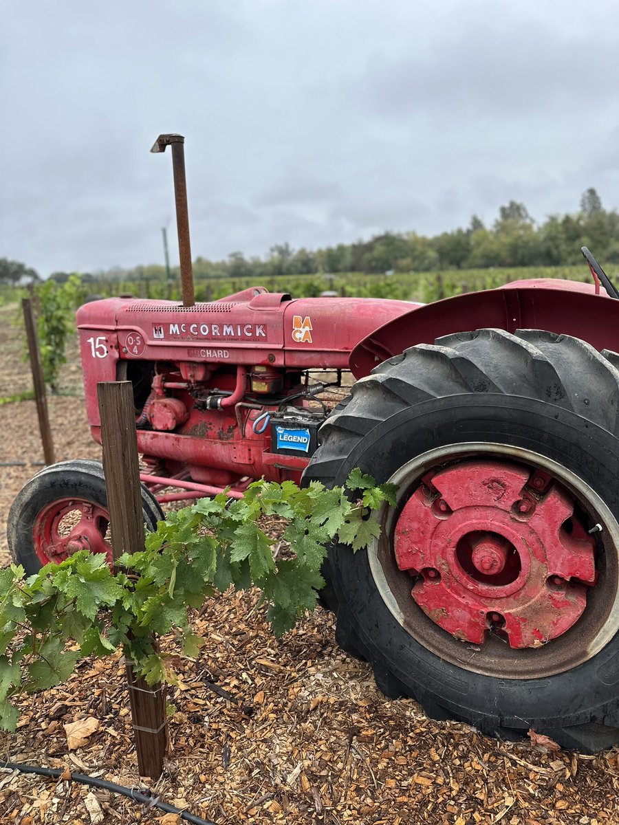 BACA Wines tweet media