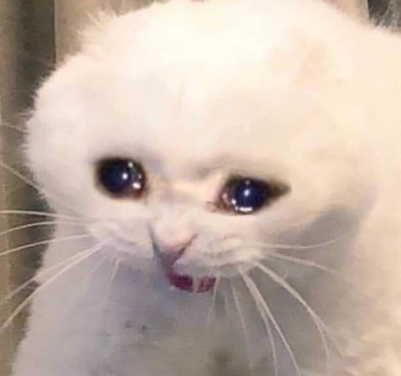 Vefita29's tweet image. Nuestra IGL nos troleo... Todo mal😔

Streams en twitch.tv/vefa29 ✨
#MYVRAMOS 💜