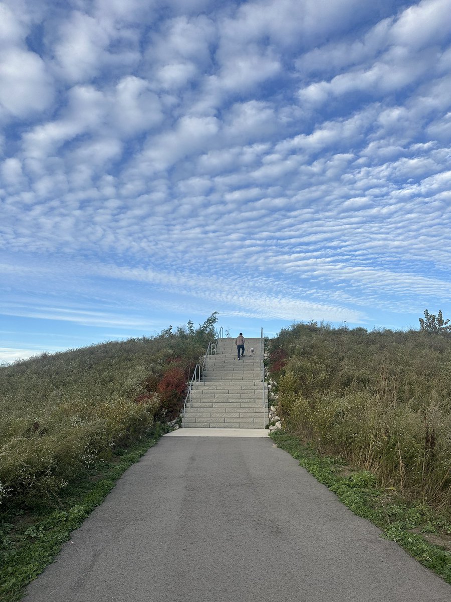 Meanwhile in Detroit, this fall weather ☀️