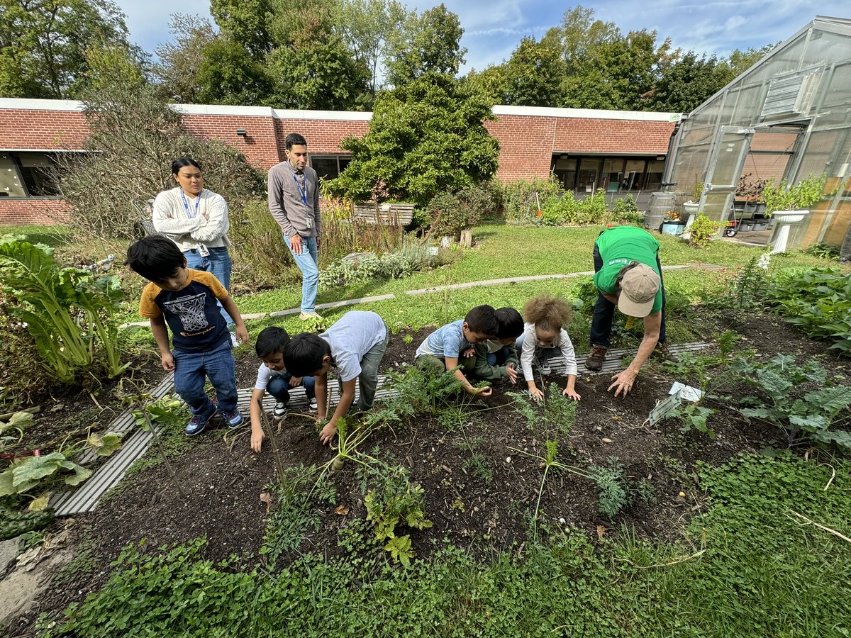 MsThompsonPCSD's tweet photo. My superstar students carefully dug into the soil to find potatoes and carrots. This was an amazing hands-on experience! The students' excitement and beaming smiles said it all - this was learning at its best! 🥕🥔 https://t.co/zqdOLKBKRH