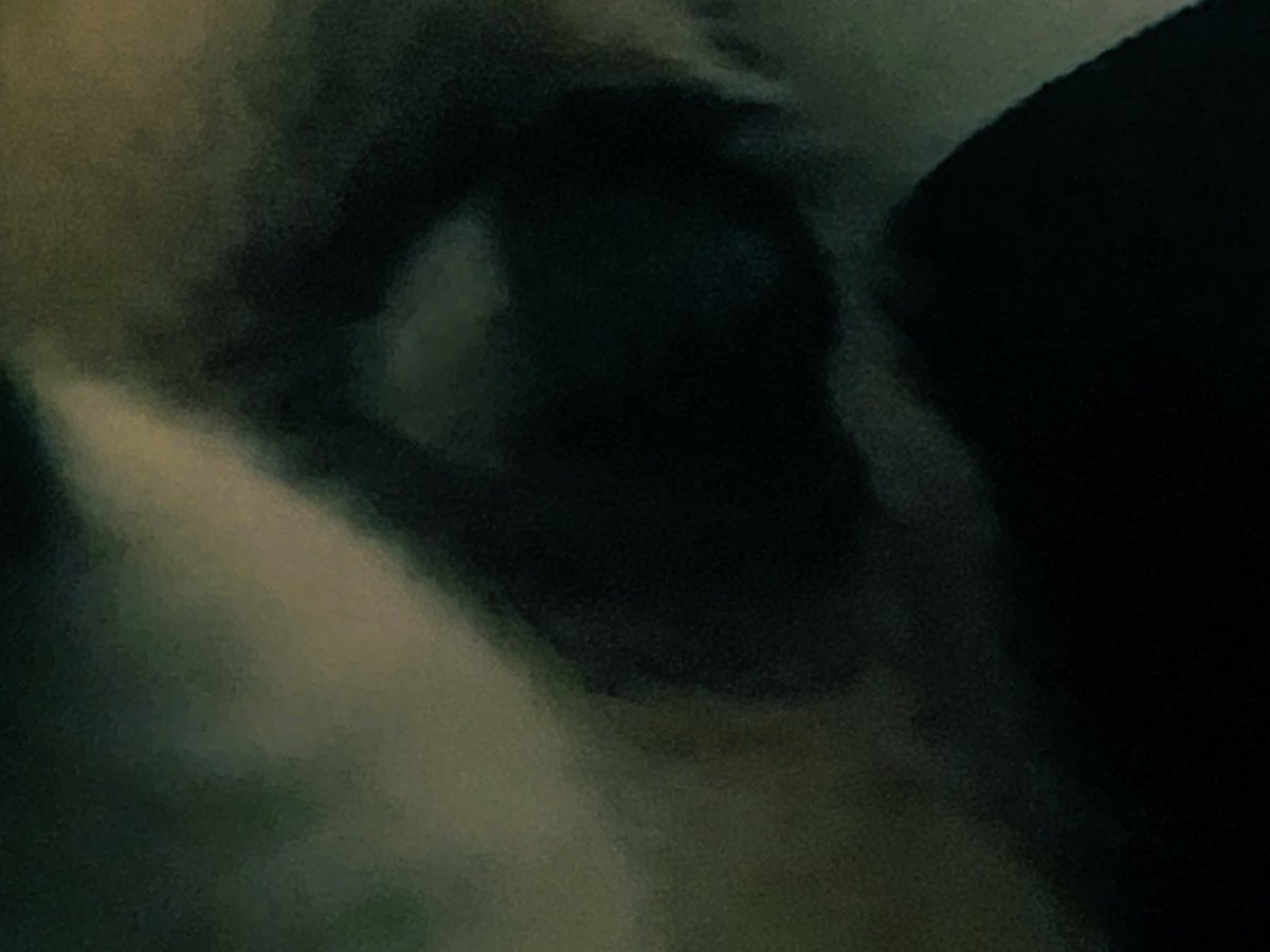 Suspicious ! ? Sid vicious ! ? Hydra ! ?