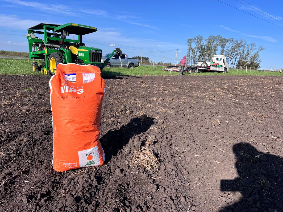 Procampo Uruguay tweet media