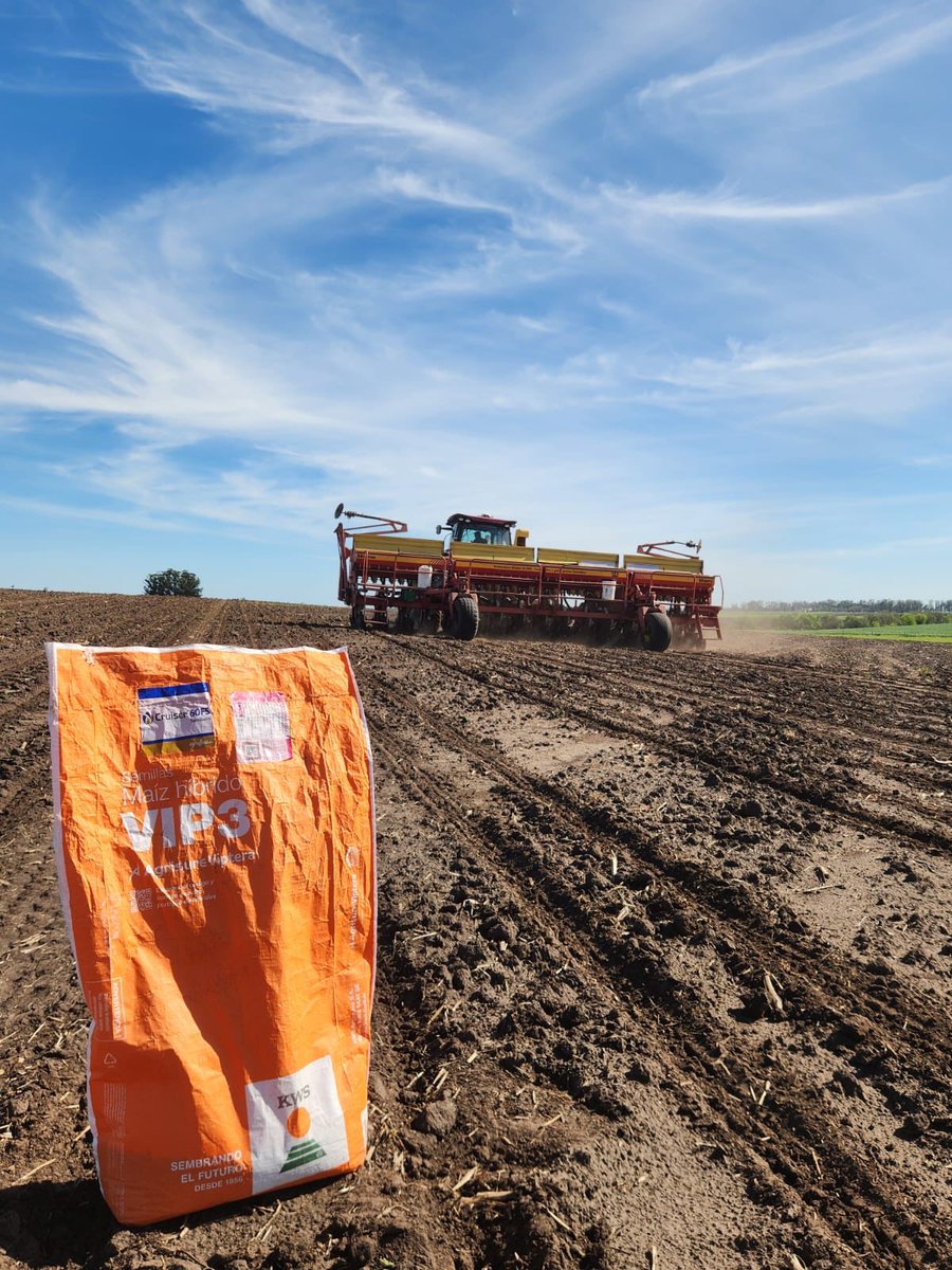 Siguen firmes las siembras de ensayos y cultivos con 
MAICES KWS por todo el país!!!
Recuerde..con PROCAMPO el Éxito se puede sembrar!!!
procampouruguay.com

⁦@KWSarg⁩ ⁦<a href="/GDMSeeds/">GDM</a>⁩ ⁦<a href="/IbfNegocios/">IBF Negocios</a>⁩ @federicobellen1
⁦<a href="/rolo_diego1306/">Diego Rodríguez Sch</a>⁩ ⁦<a href="/roycooper/">Roy Cooper</a>⁩