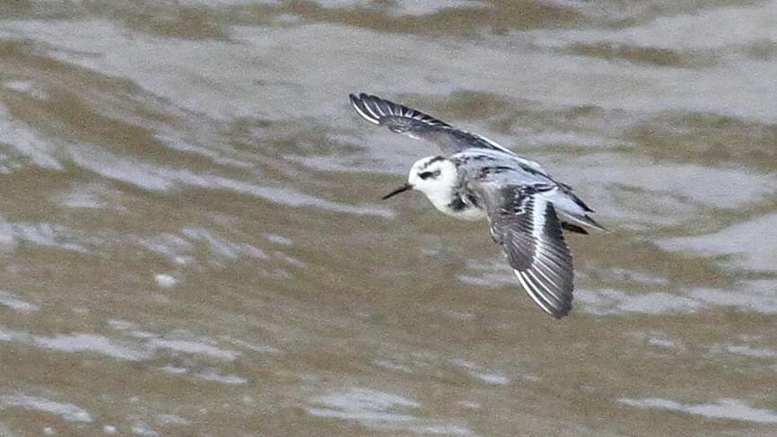 Richard Willison tweet media