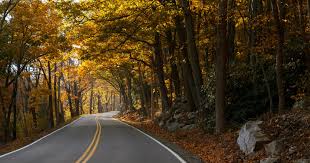 Thehappening_rc's tweet image. Please leave us a like, comment or share
Rockbridge County Virginia Fall days
#rockbridgecountyva #CommunityStrong #CommunityLiving #family #viewers #newfriendships #newfollowerswelcome #blueridgemountains #blueridgeparkway #Lexus #outdoorliving #hikes #outfitinspiration