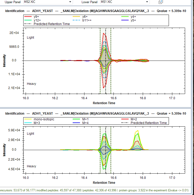 I almost never analyze SILAC samples anymore. Is it becoming less popular? Anyway I was really impressed with using the latest version of Fragpipe -w/ skyline integration for dda and Spectronaut 19 for DIA.