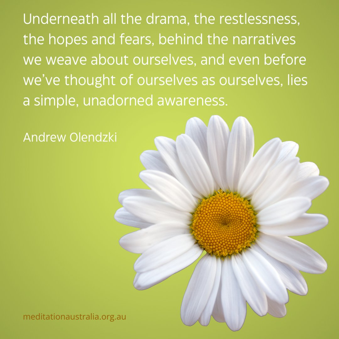 Meditation Australia tweet media