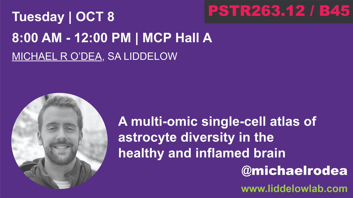 Shane Liddelow 🍊 tweet media