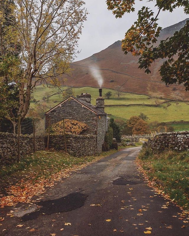 autumn girl tweet media